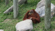 img_1581_thumb.jpg