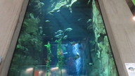img_1510_thumb.jpg