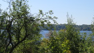 img_1492_thumb.jpg
